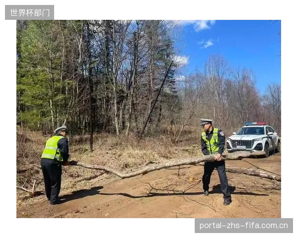 汉利和麦肯纳的中卫搭档经验丰富,但转身速度或成防线隐患。 汉利和麦肯纳的中卫搭档经验丰富,但转身速度或成防线隐患。